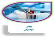 بخش ویروس شناسی مولکولی