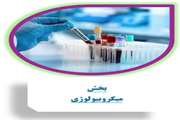 بخش میکروبیولوژی