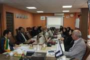 برگزاری جلسه شورای آموزشی و تحصیلات تکمیلی دانشکده پیراپزشکی