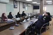 برگزاری نشست معاونت و رابطین بین الملل دانشکده علوم پیراپزشکی