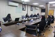 برگزاری کارگاه نظام های رتبه بندی بین المللی دانشگاه ها در دانشکده علوم پیراپزشکی 
