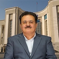 Dr Reza Safdari