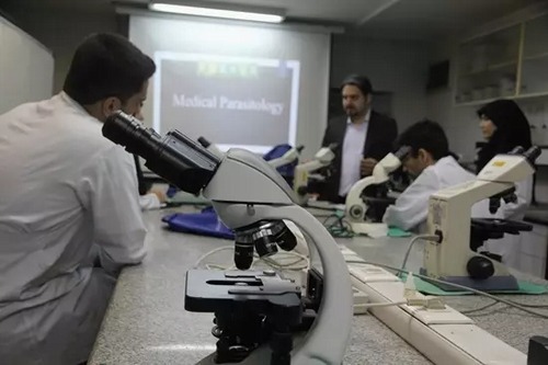 The Second Summer School Workshop on Laboratory Skills